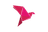bKash